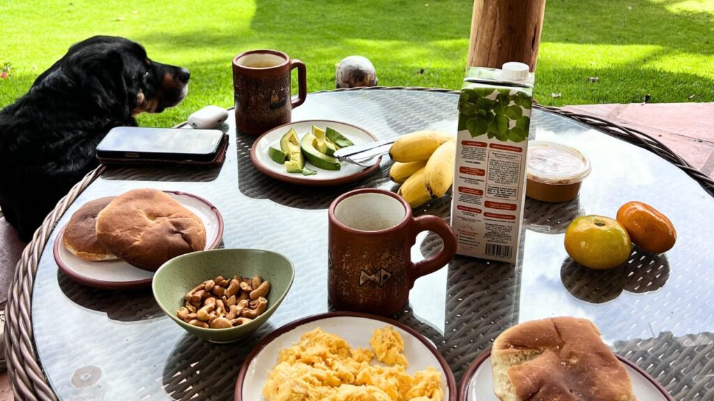 シャーマンが用意してくれた朝食